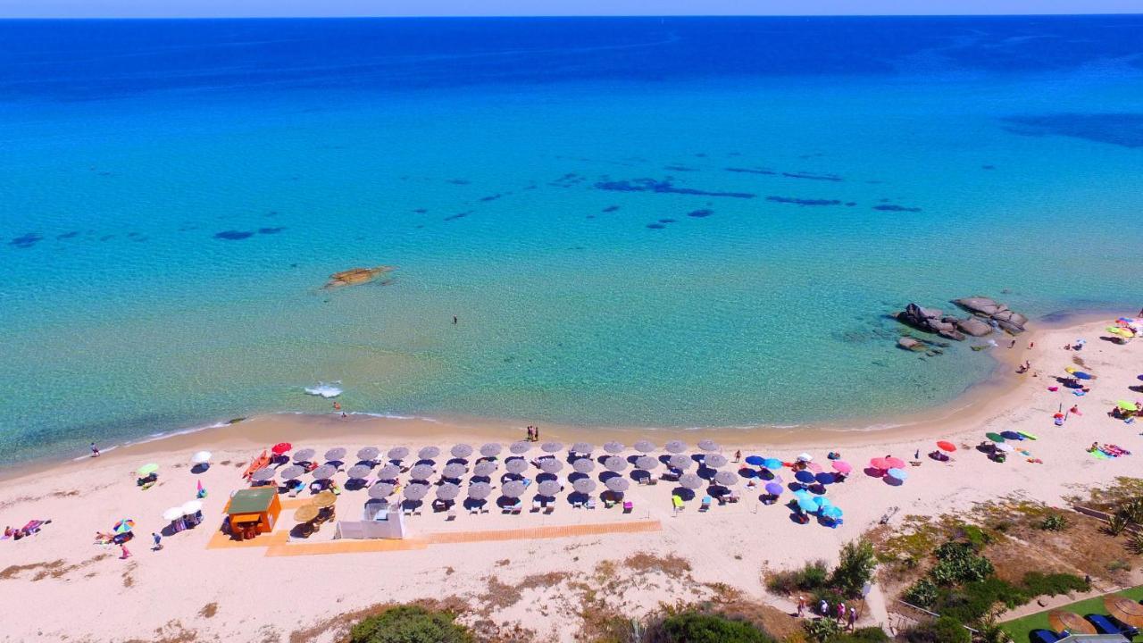 Albaruja 4*